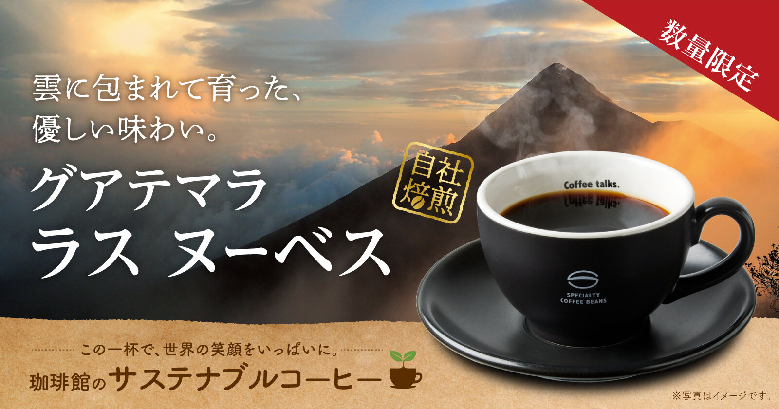 珈琲館 グアテマラ ラス ヌーベス