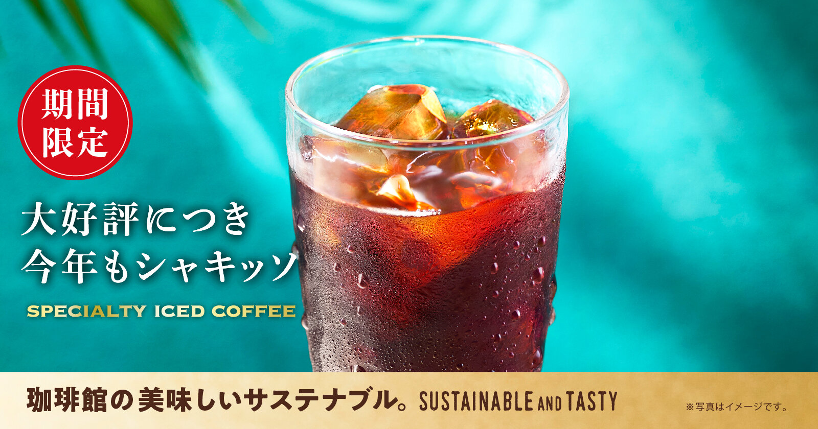  2025エチオピアシャキッソ