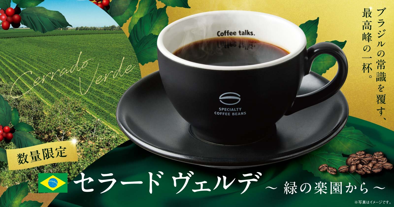 2026秋セラード