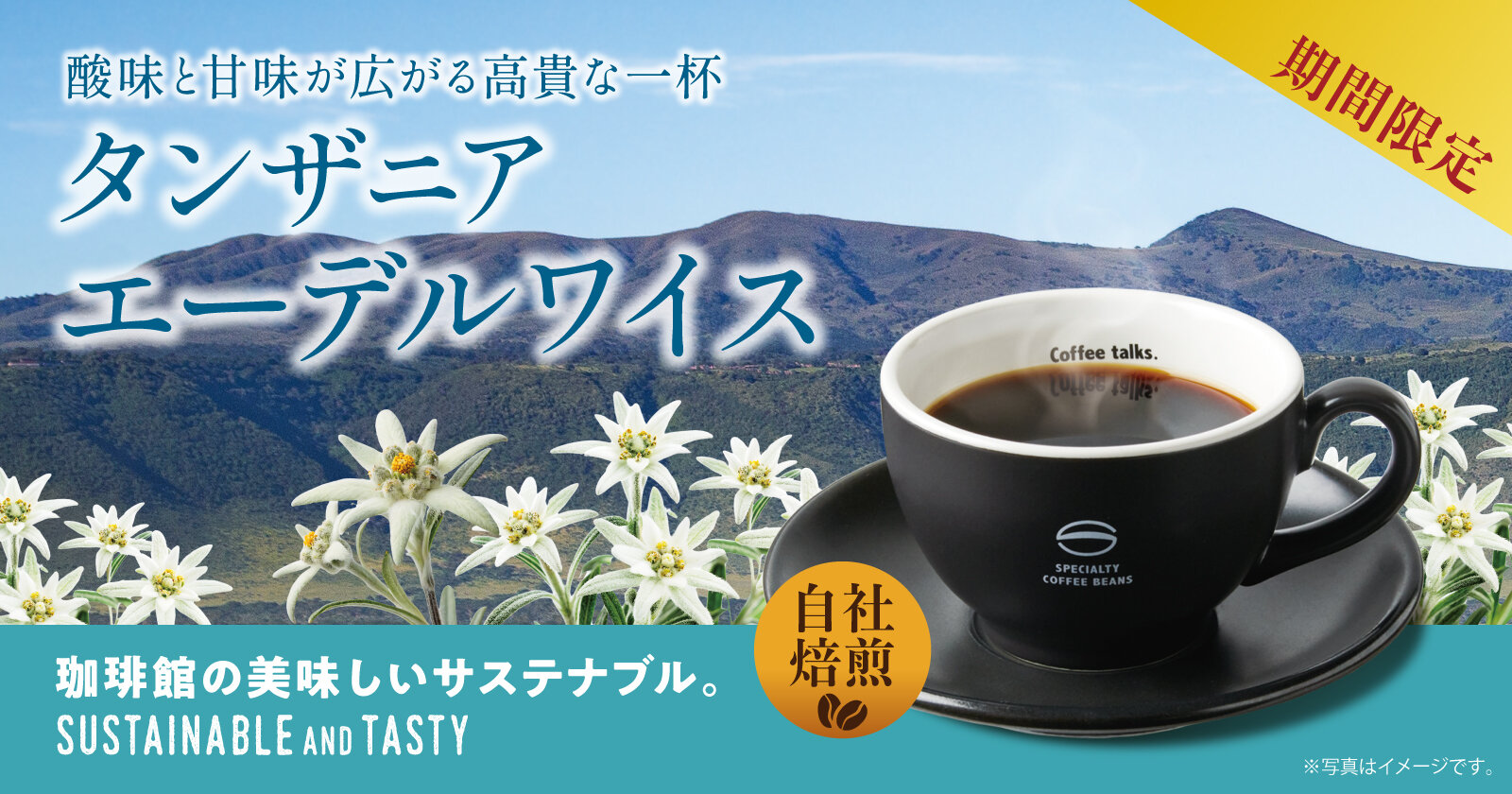 珈琲館 タンザニア エーデルワイス