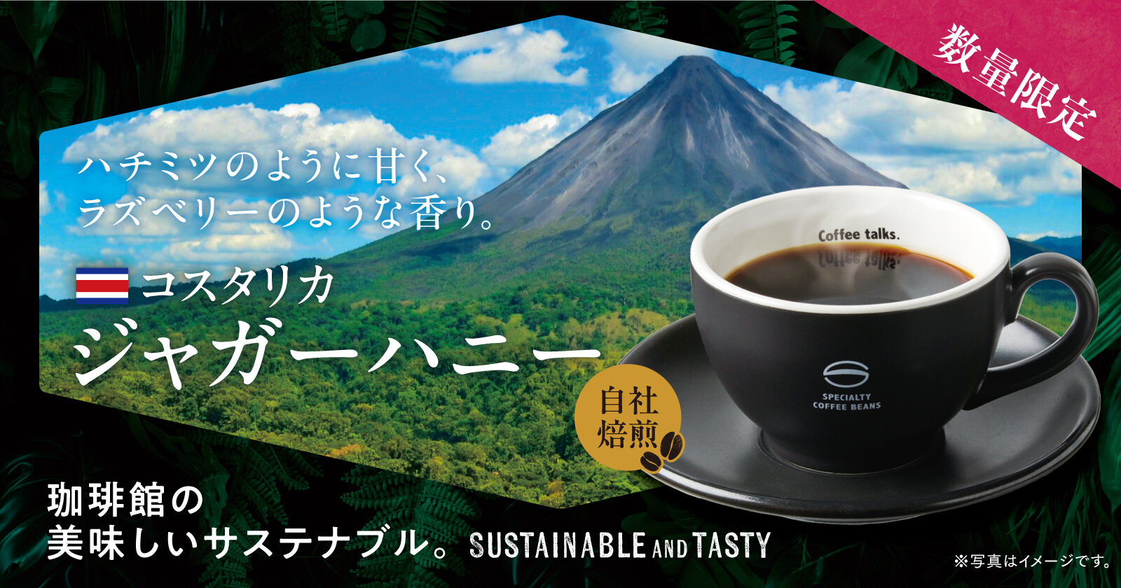 2026ジャガーハニー