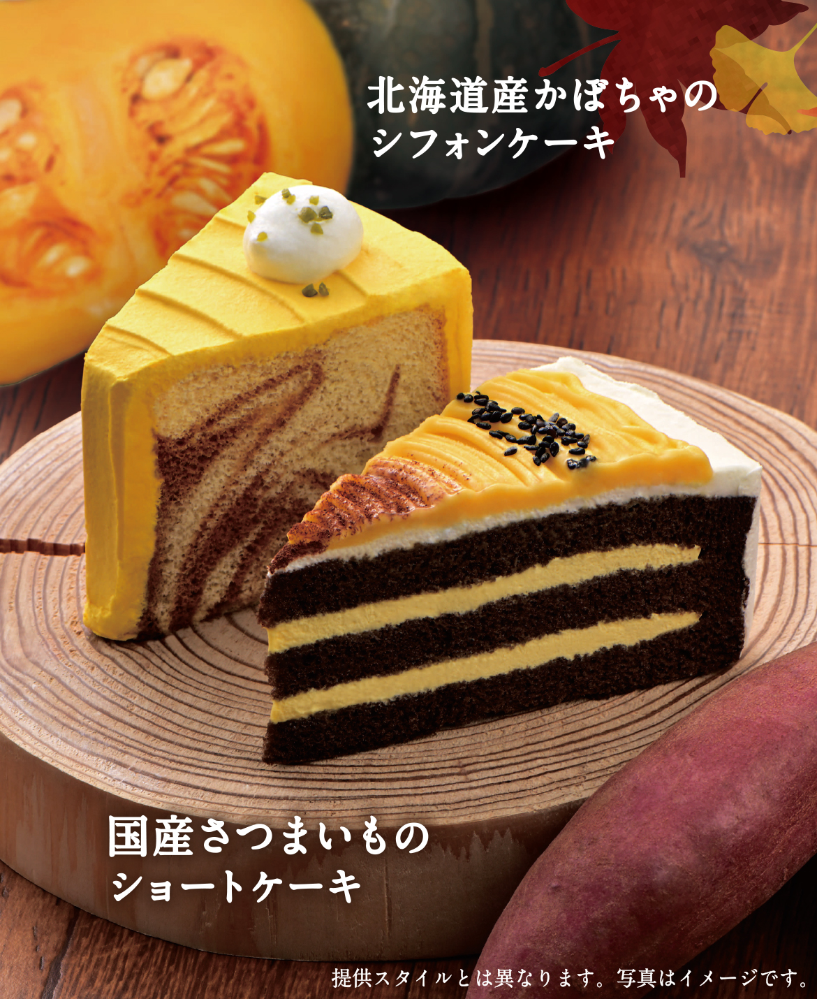 おすすめ情報
