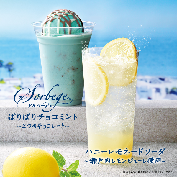 メインビュー