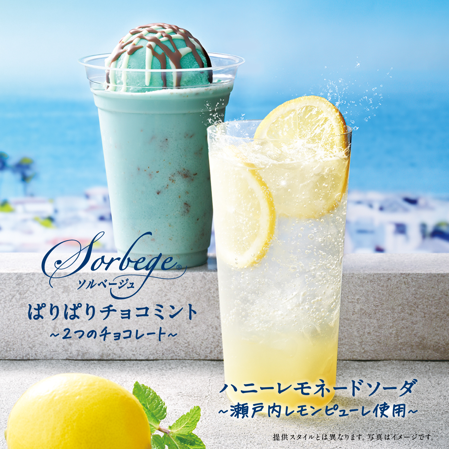 メインビュー