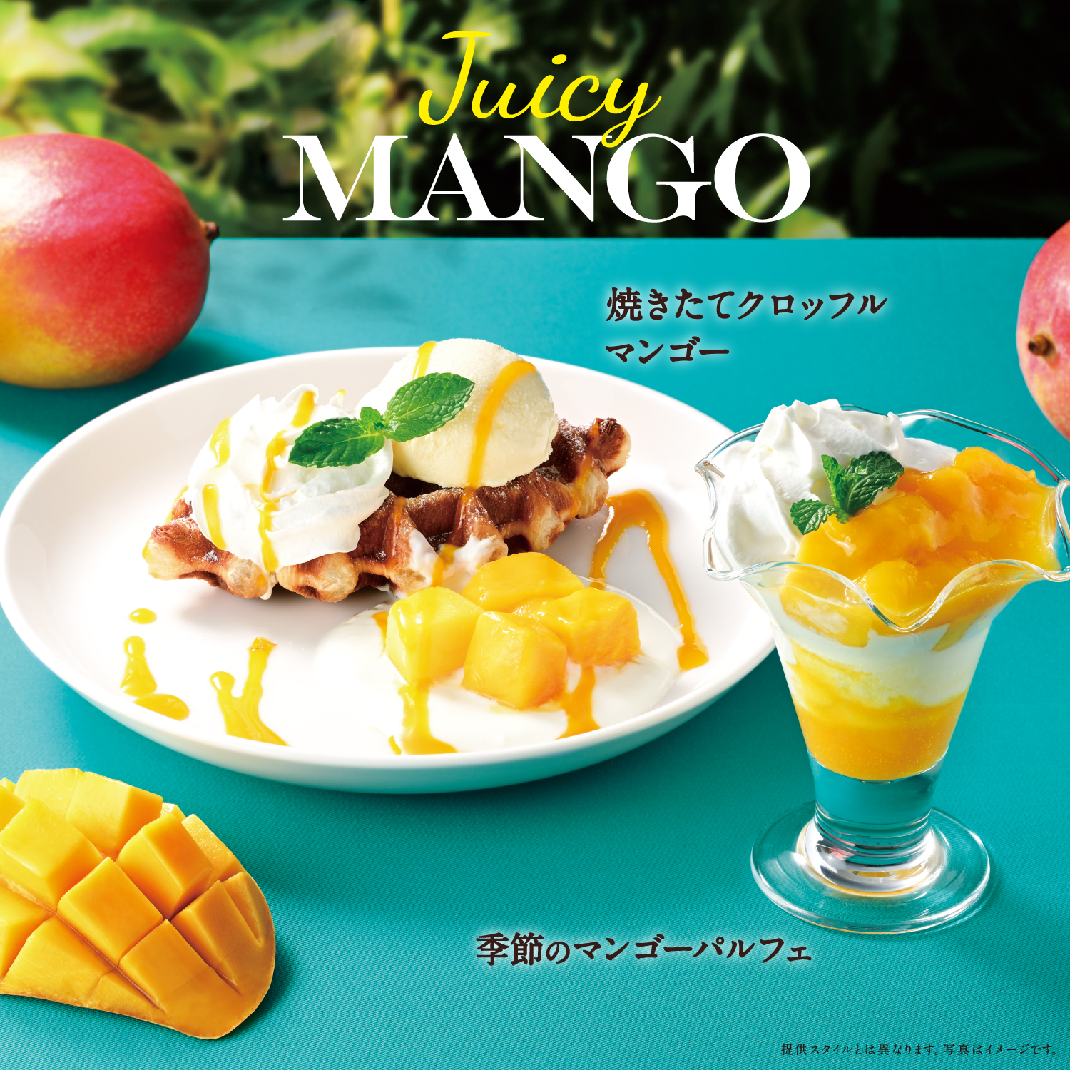 季節のおすすめ